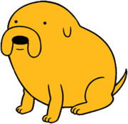 fin